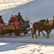 Pferdeschlittenfahrt im Schnee