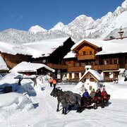 Pferdeschlittenfahrt im Schnee
