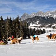 Pferdeschlittenfahrt am Mooshäusl