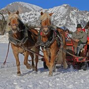 Pferdekutsche im Schnee