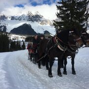 Pferdeschlittenfahrt am Vorberghof