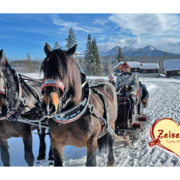 Kutschenfahrt im Schnee