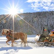 Winter sun, winterwonderland and a horse-drawn sleigh