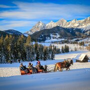On horse-drawn sleigh with terrific panoramic view to Dachstein massif