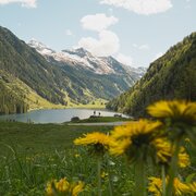 Riesachsee in spring