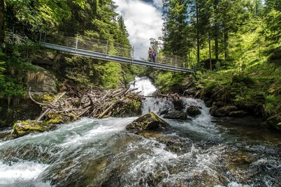 Steel bridge over Riesach creek in Höll gorge