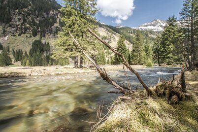 Riesach creek near Berallerhütte inn at Kotalm