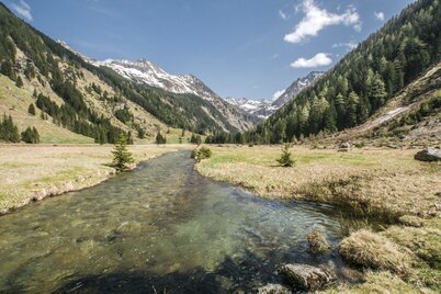Riesach creek near Kaltenbachalm inn