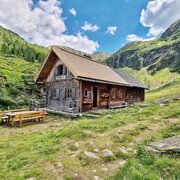 Waldhornalm mit schönem neuem Schindeldach