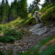 pro downhill | 403_img_80373353