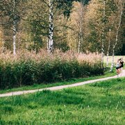 Am Schilfgürtel entlang.