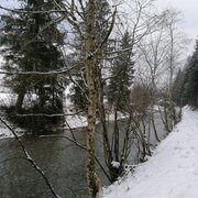 Zu Beginn der Wanderung entlang des Donnersbachs