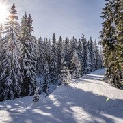Moderater Anstieg der Höhenloipe Rittisberg 1500 zum Gipfelkreuz Rittisberg