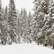 Winterwanderung