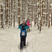 Auf dem Weg durch den Wald