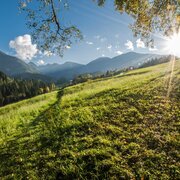 Sunny afternoon at Oberer Talbach Trail