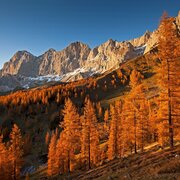 Roseggersteig - Brandriedel