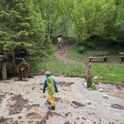 Schatz des Gradenbachs 