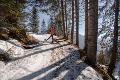 Auf dem Weg zur Schönwetterhütte