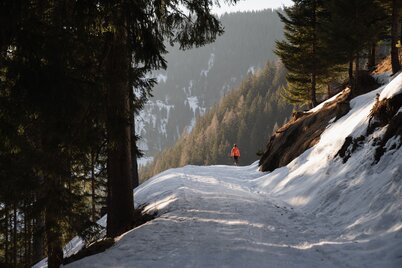 Zurück bergab ins Großsölktal