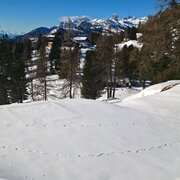 schneeschuhwanderung rossfeld stoderzinken_img_43714786