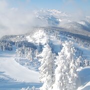 schneeschuhwanderung stoderzinken_img_43715123