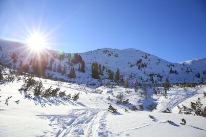 Zwischen den Latschenfeldern