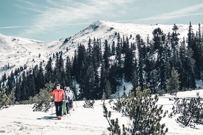 Am Hochplateu im sogenannten Plannerkessel