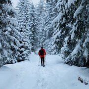 schneeschuhwanderung im schönmoos_img_55441622