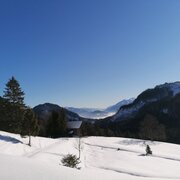 Ausgangspunkt Wörschachwald