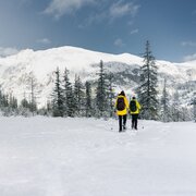 Unterwegs im Winterwald Richtung Hochplateau