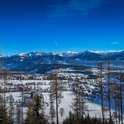 Über den Skiweg hoch zur Brandalm, mit Blick auf die Hochfläche der Ramsau am Dachstein