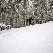 Verschneiter Wald am Weg zum Hahnalpl