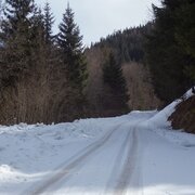 Der lange Weg beginnt ...