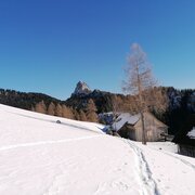 Bärenfeichtenalm mit Blick zum Hochtausing