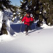 skitour zur wolfnalmspitze_img_17082370