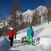 Skiweg - Türlwand