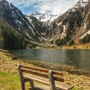 Bodensee_Frühjahr(c)Marlene Eggmayr.jpeg