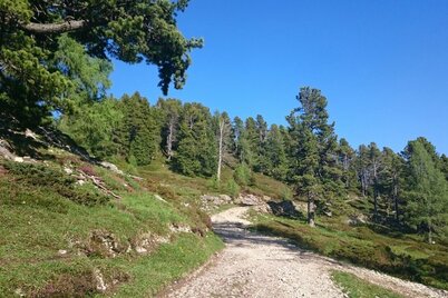 stoderalm-rundweg zum gröbminger blick_img_14625314