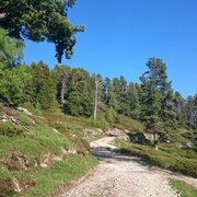 stoderalm-rundweg zum gröbminger blick_img_14625314