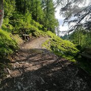 tausing runde_img_51479026