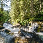 Wilde Wasser entlang des Untertalbaches