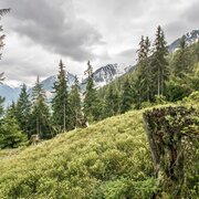 Blick vom Wanderweg 61/773 nach Süden ins Obertal