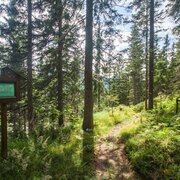 Vorberger Weg der Besinnung