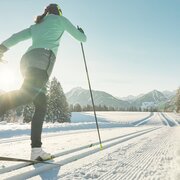 Cross-country skiing on the Vorbergloipe
