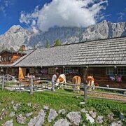 Sommer Walcheralm