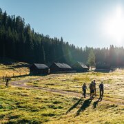 Viehberg_am Weg zu den Almhütten 