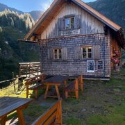 Waldhornalm