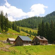 15674-adambaueralm_raffalt.jpg