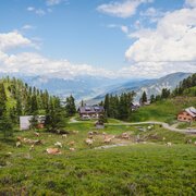 332928-galsterbergalm.jpg